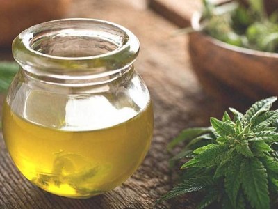 What Are the CBD Health Benefits in Treating Cancer?